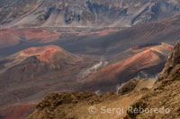 Conos de ceniza en el Haleakala National Park. Vistas desde el mirador de Leleiwi. Maui.